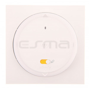 Mando pared SOMFY Kit Smoove pure