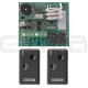 Kit Receptor CLEMSA MUTANcode RNE 248 U NT 82 S