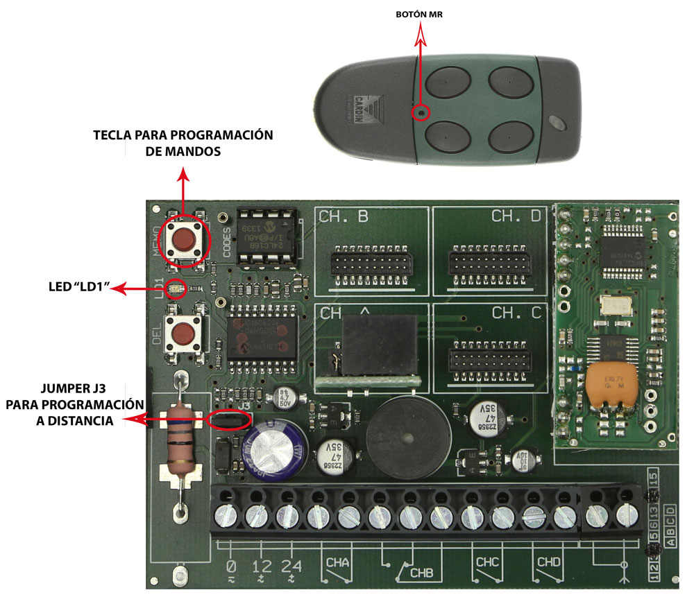 Receptor y mando Cardin